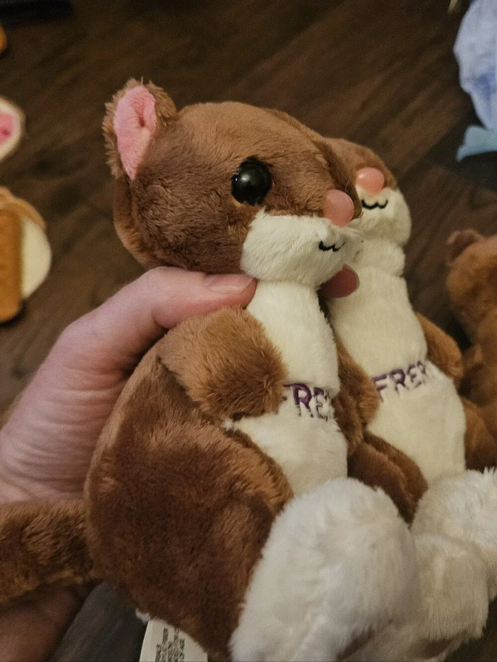 Mardi Gras Freret Plush Stuffed Animal Used Condition Lot Of 3 Ferrets Toys .